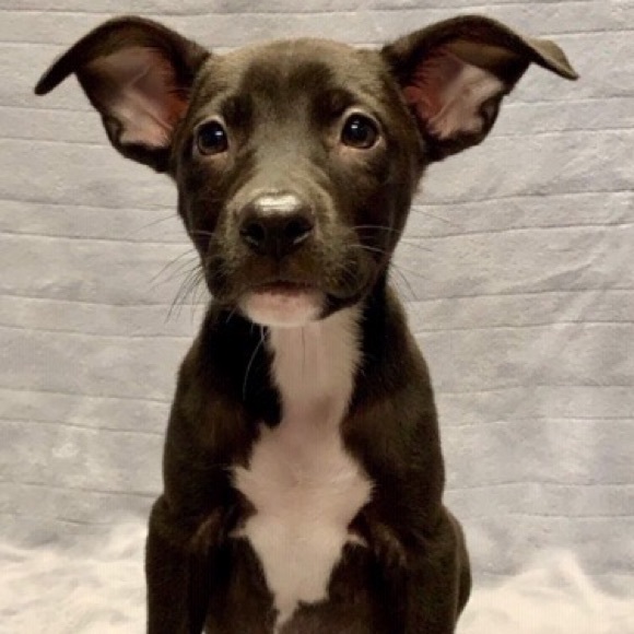 Meet your Posher, Jeanna - Picture 7 of 9